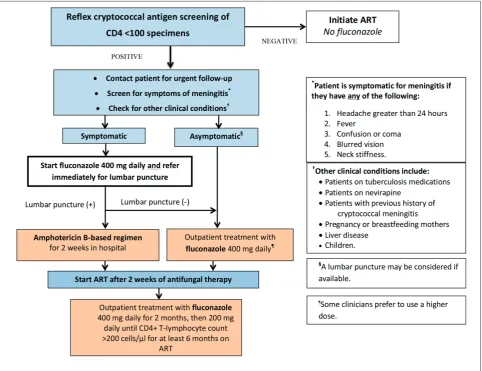 Fig. 1. Clinical treatment algorithm for the South African cryptococcal screening programme.