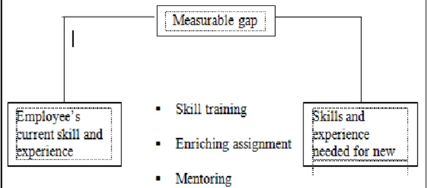 Gambar 1. Filling Skill and Experience Gaps  (Sumber: Harvard Business Essentials, 2006:104.5) 