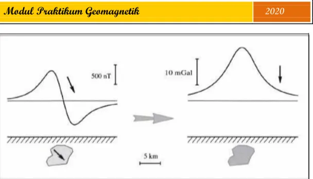 Gambar 2.19. Bentuk kurva anomali magnetik dan hasil transformasi pseudogravity (Blakely,  1995) 
