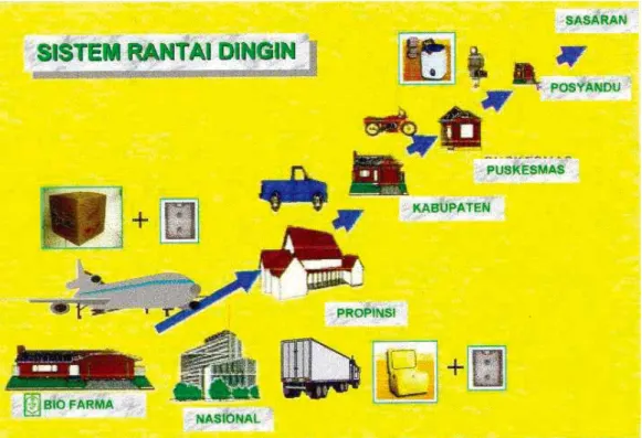 Gambar 3.1 Sistem Rantai Dingin