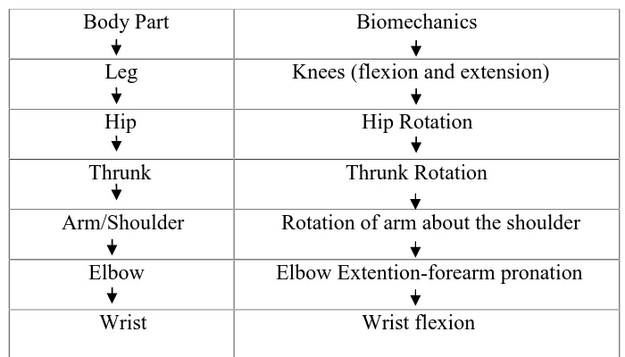 Tabel 1Urutan segmen tubuh dalam rantai koordinasi