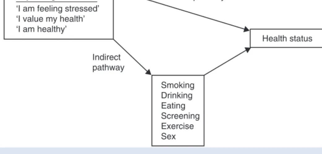 Fig. 1-2 Psychology and health: direct and indirect pathways