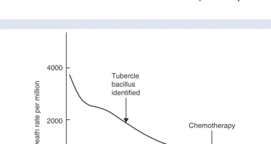 Fig. 2-1  Decline in mortality from tuberculosis (after McKeown 1979)