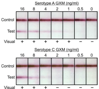 FIG 1 Representative examples of the cryptococcal antigen lateral ﬂow assay(CrAg LFA) tested with serial dilutions of GXM from serotype A strain CN6and serotype C strain 24066