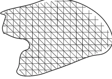 Fig. 4.2 An example of triangulation and mesh