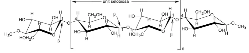 Gambar 2.6. Struktur selulosa 