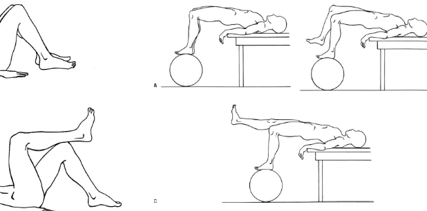 Gambar 10. Contoh latihan dalam penatalaksanaan NPB (spondilosis lumbalis). Dikutip dari: Weinstein SM, Herring SA and Stanaert CJ