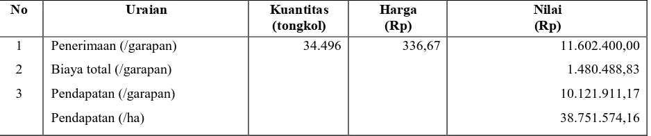 Tabel  2  Rata-rata penerimaan dan pendapatan dari usahatani jagung manis  
