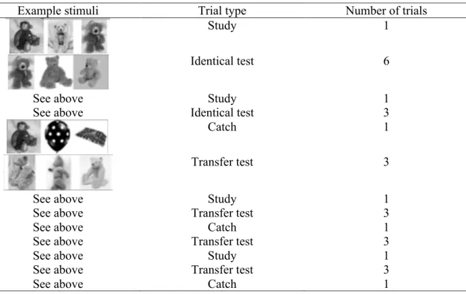 Table 1: VET-Kid object representation task design matrix  