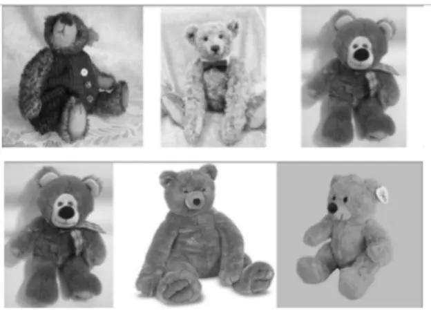 Figure 3: Sample stimuli from VET-Kid object representation task  