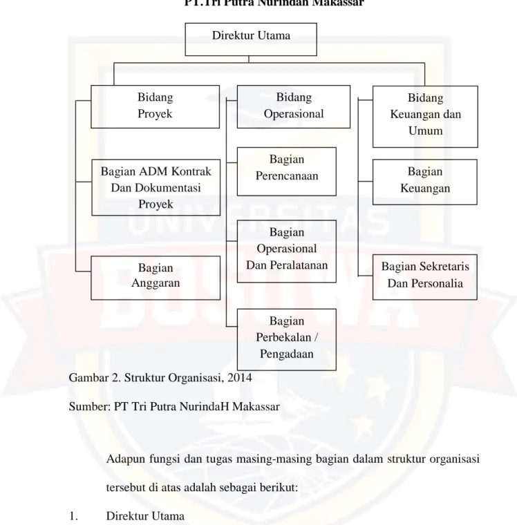 Gambar 2. Struktur Organisasi, 2014  Sumber: PT Tri Putra NurindaH Makassar 