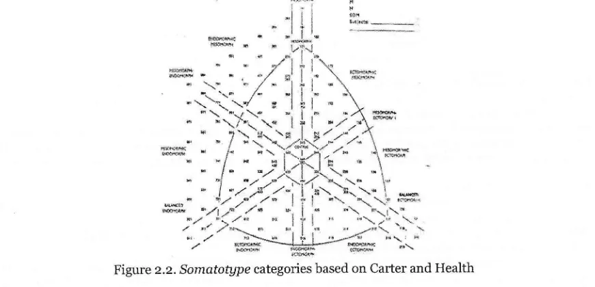 Figure 2.1. Somatochart diagram(rSgo) 