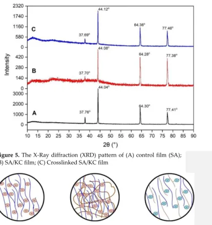 Figure 5.  The X-Ray diffraction (XRD) pattern of (A) control film (SA); 