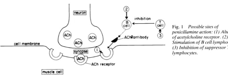 Gambar 1.Tempat kerja D-penicillamine 