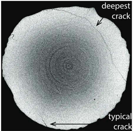 Figure 2.2: A reconstructed computed tomography slice of a forsterite sample.