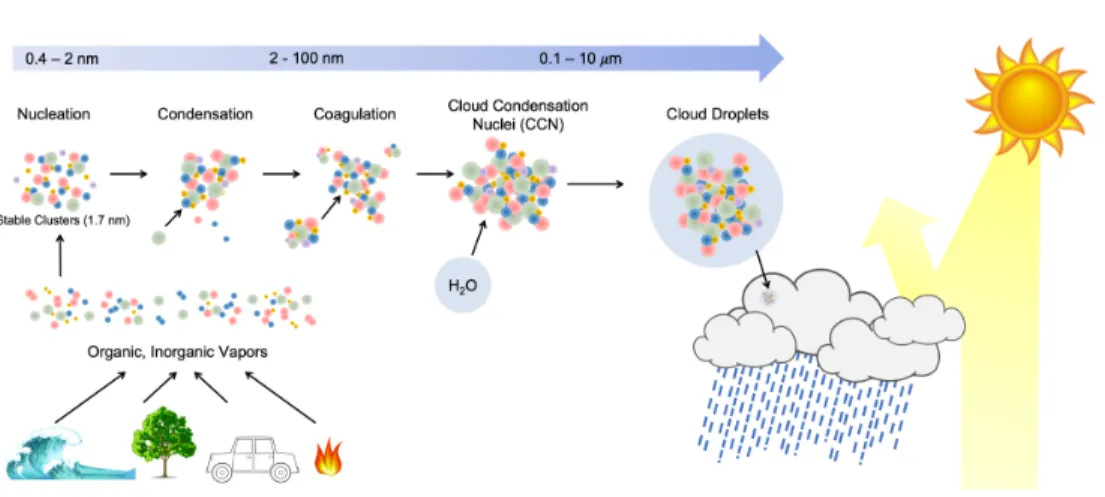 Figure 1.1: A schematic showing the complication and importance of new particle formation and growth in the atmosphere