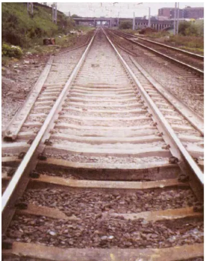 Figure 2.18 An advanced stage of wet spot which will require ballast renewal (Cope  and Ellis 2001) 