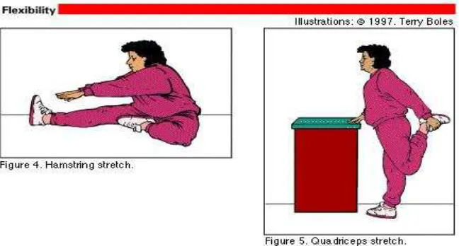 Gambar 4. Streching otot Hamstrings dan Quadriseps (DiNubile, 1997: 8).