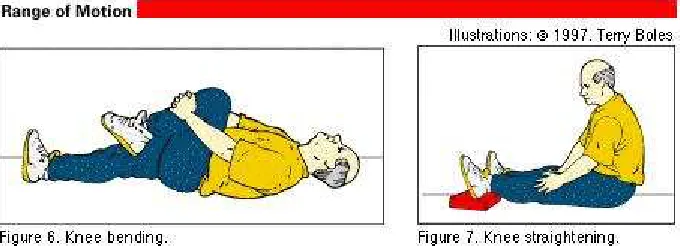 Gambar 5. Latihan ROM lutut (DiNubile, 1997: 9).