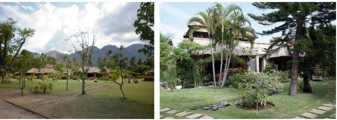 Gambar 9. Villa-villa dan cottages di wilayah pesisir Pemuteran 