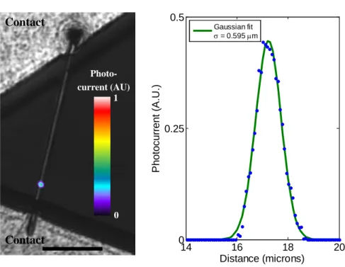 Figure 2.9: Control measurement of the sample shown in figure 2.10B, submerged in DI water.