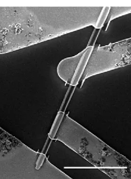Figure 3.5: Single wire lying flat on a SiNx coated wafer, and contacted with four metal fingers.