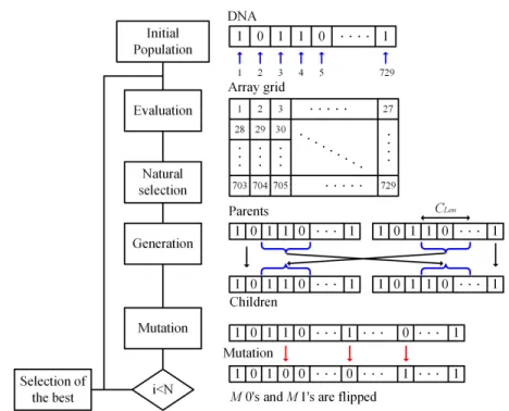 Figure 3.4: Flowchart of the genetic algorithm used for sparse array design.