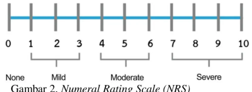 Gambar 2. Numeral Rating Scale (NRS) 