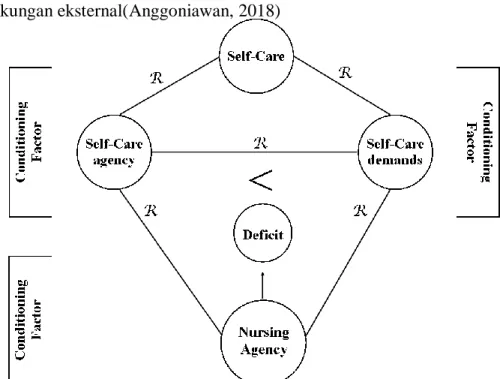 Gambar  2.1.  Struktur  self  care  terdiri  atas  tiga  karakteristik  manusia  yang  saling  berhubungan, namun berbeda secara herarki  yaitu :a