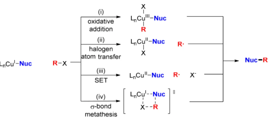 Figure 1.2: Possible pathways for ligand-accelerated Ullmann coupling reactions.  