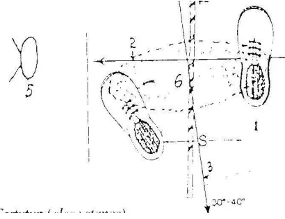 Gambar 3. Cara Berdiri Sejajar