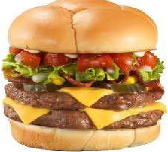 Gambar 2.3 : Burger sayuran 