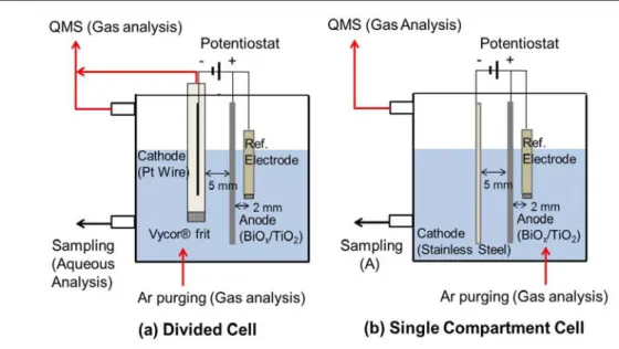Figure 2.1. Schematic diagram of electrolysis cells (working volume: 60 mL) used in this  study