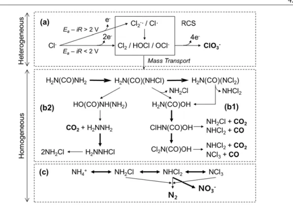 Figure 2.10 reactive chl ClO 3 