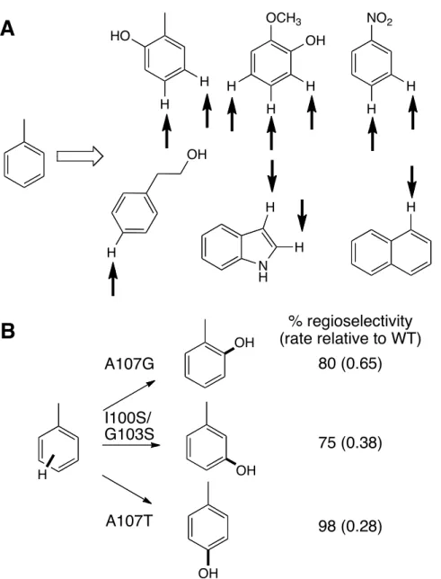 Figure  6.    (A)  Native  substrate  and  representative  substrates  accepted  by  variants  of  toluene and xylene monooxygenases
