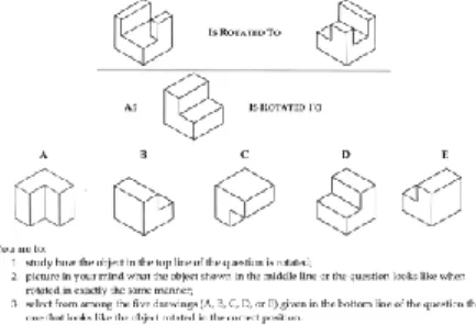 Figure 4. A sample item from the Revised PSVT: R. 