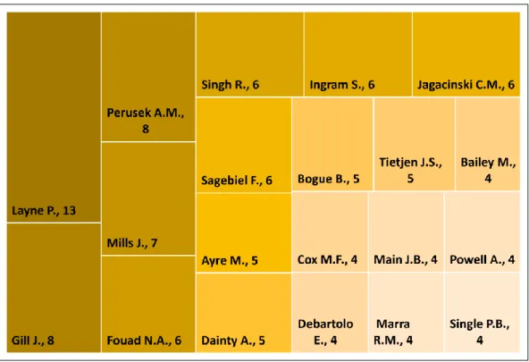 Figure 7 Top 20 contributed authors tree map based on co-authorship analysis 