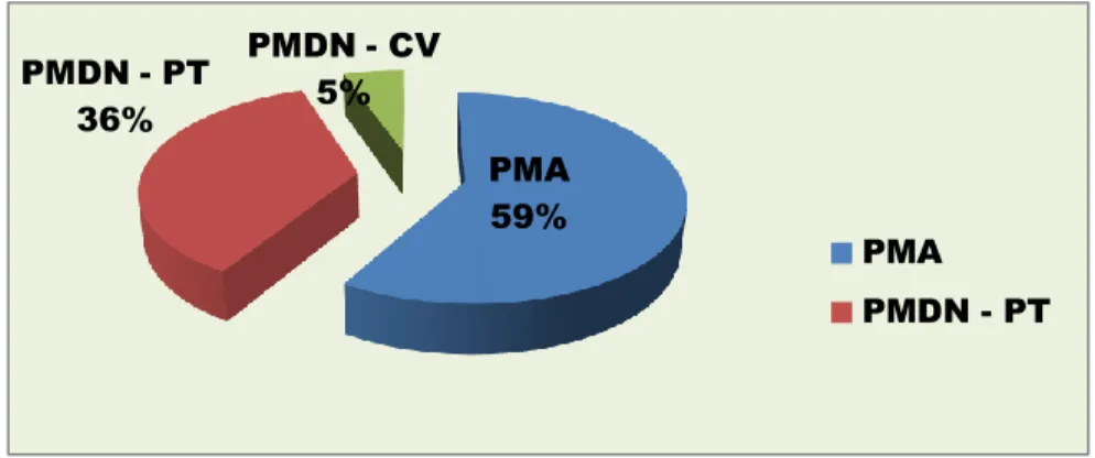 Gambar 6.   Market Share PMA dan PDMN pada Ekspor Kopi Biji                  Pelabuhan Panjang 2018 (dalam persentase)  