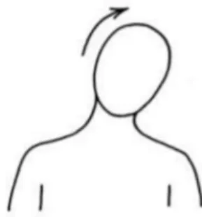 Gambar 4. Tilt Head from Side to Side (Rovitri, 2015)  4.  Rotate Head From Side to Side  