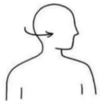 Gambar 5. Rotate Head From Side to Side (Rovitri, 2015)  b.  Stretching bahu dan lengan 