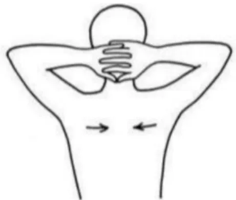 Gambar 9. Pectoralis Mayor Stretch (Rovitri, 2015)  5.  Triceps Stretch 