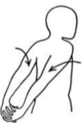 Gambar 8. Biceps Stretch (Rovitri, 2015) 