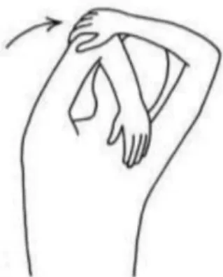 Gambar 10. Triceps Stretch (Rovitri, 2015) 