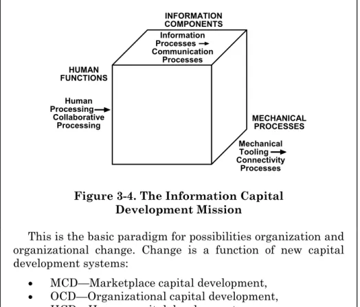 Figure 3-4. The Information Capital  Development Mission 