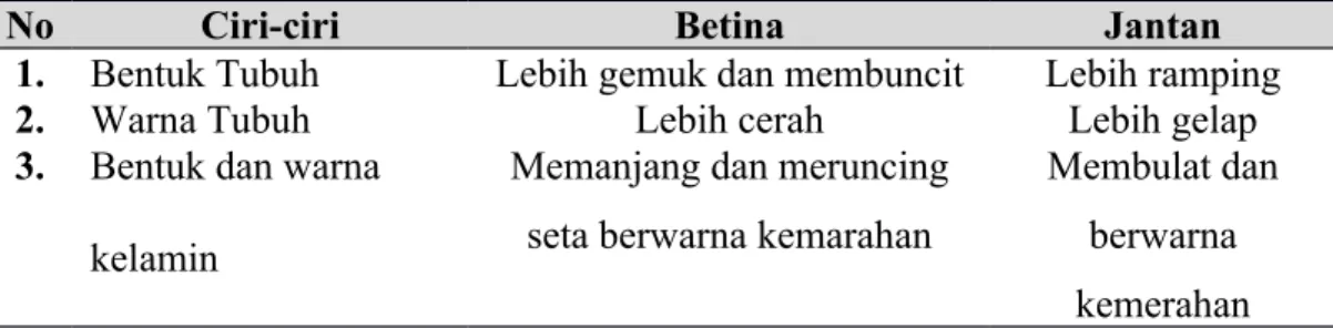 Tabel 2. Perbedaan Indukan Jantan dan Betina Ikan Lele (Clarias gariepinus).
