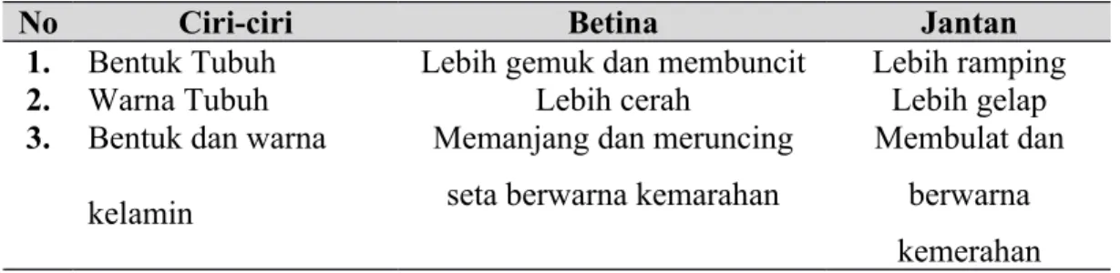 Tabel 3. Perbedaan Indukan Jantan dan Betina Ikan Lele (Clarias gariepinus).