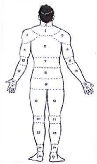 Gambar 3.1. Nordic Body Map 