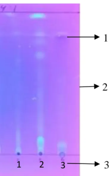 Gambar 4.1  Kromatografi Lapis Tipis (KLT) menggunakan eluen n-heksan dan  etil asetat dengan perbandingan 4 : 1 dibawah sinar UV 366 nm