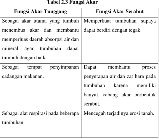 Tabel 2.3 Fungsi Akar 