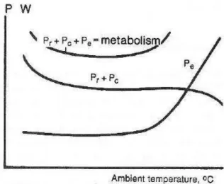 Gambar III.2. Perubahan dari panas yang dikeluarkan oleh tubuh fungsi dari suhu  lingkungan